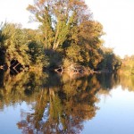 La Lergue, 34