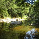 DSCN3556