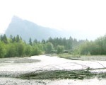 Plaine alluviale du Giffre, 74