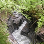 Tines des Fonts, 74