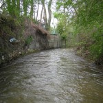 DSCN1239