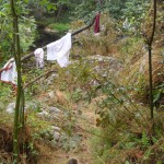 Perdu dans des gorges, ...on n'a pas vu la propriétaire!