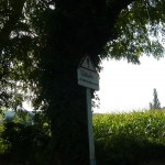 Orthographe!