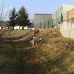 Lamas sur la Bourbre à Bourgoin
