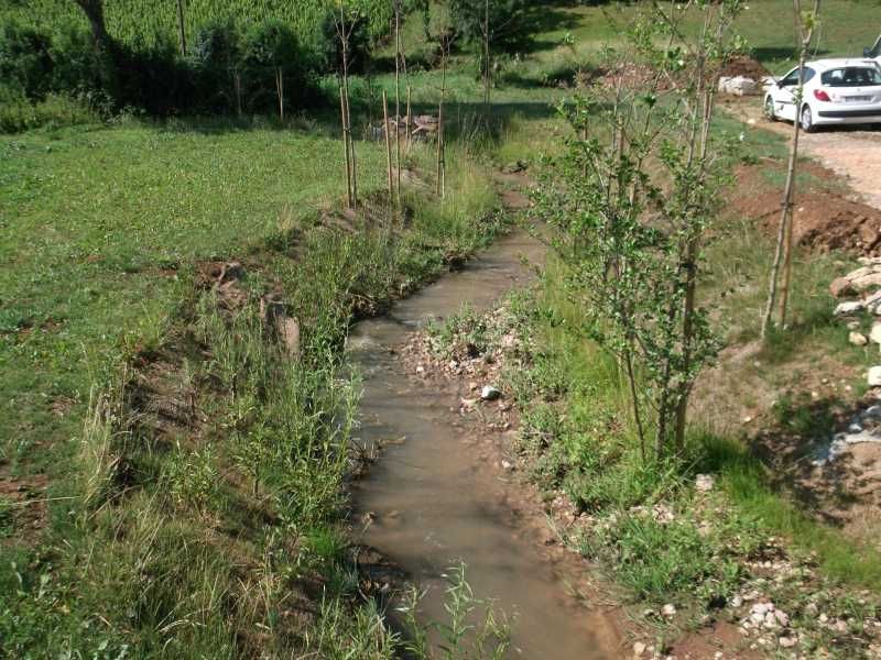 Vue de la Denante post chantier : la rivière est sinueuse et herbacée