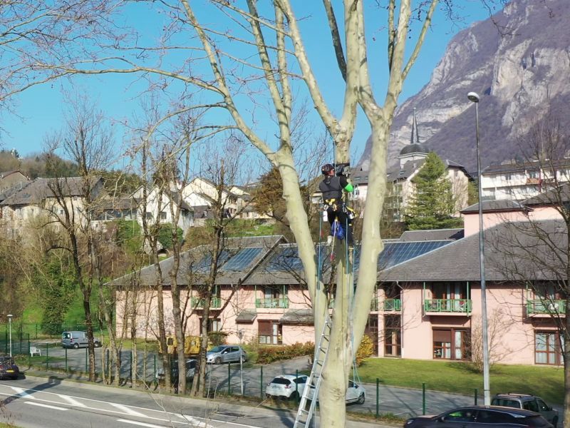 Travail en hauteur pour vérifier et repositionner les caméras en vue de la réalisation d'un timelapse des bancs de l'Isère pour EDF