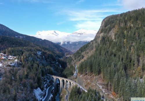 Arve