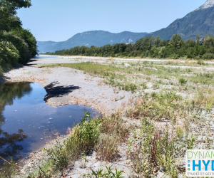 #219 – Intervention annuelle sur les bancs de l’Isère en Combe de Savoie