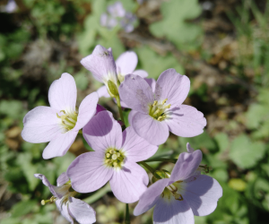 #231 – Printemps sur le Barny : levés topographiques et analyse en tête de bassin