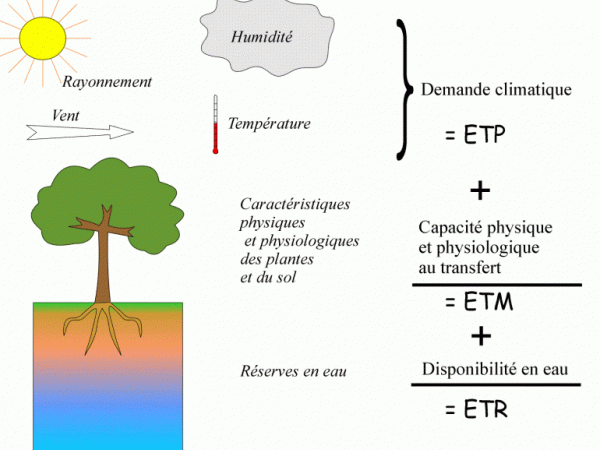 HYDROLOGIE   Evapotranspiration