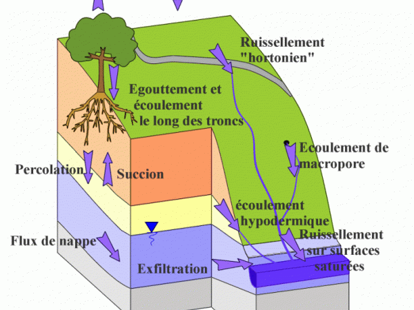 HYDROLOGIE   Echanges D'eau Sur Un Versant