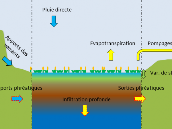 HYDROLOGIE   Bilan Hydrique