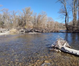 #228 – Levé des lignes d’eau du Bas Verdon