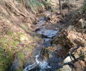 #229 – Le Combard passé au crible : repérages avant restauration du cours d&rsquo;eau