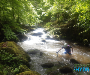 #213 – Suivi hydro- morphologique de la Selves : campagne 2025