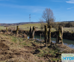 #208 – 65 ans et pas une ride !