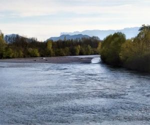 #164 – Suivi des bancs de l’Isère en Combe de Savoie