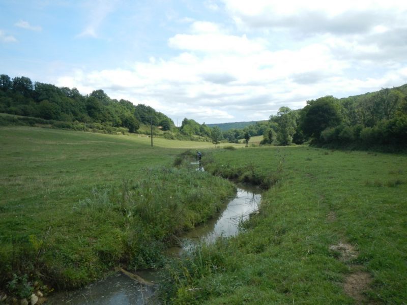 Vue sur la rivière ARvo