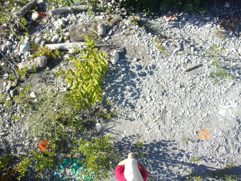 Anaïs réalise un "quadra de végétation" qui participe au suivi de l'évolution de la végétation sur le banc de l'Isère