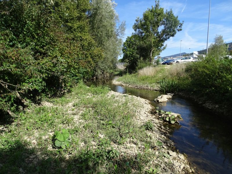 LANGE - Réhabilitation écologique vue sur les banquettes végétalisées