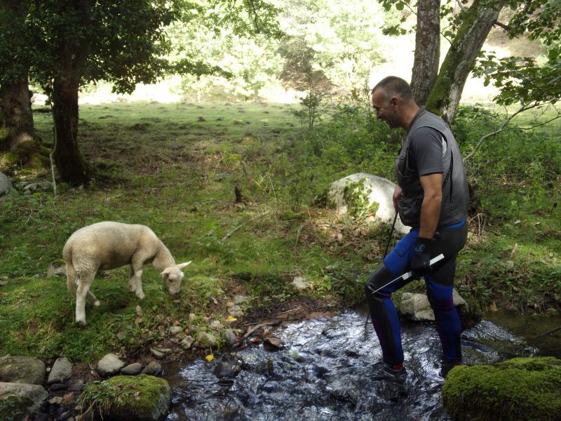 Loïc et un agneau peu farouche et très curieux