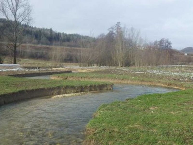 Vue sur le Lange reméandré par Dynamique Hydro pendant la mise en eau du nouveau chenal