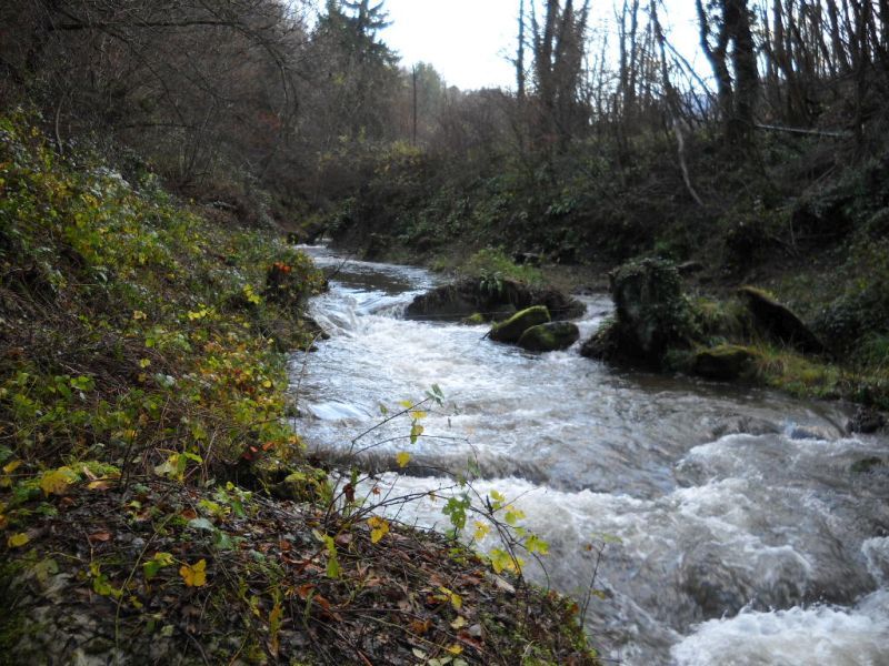 Vue de la rivière Morge dans le centre-ville de Voiron