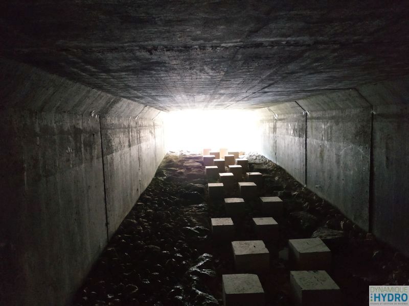 rampe rugueuse à l'intérieur d'un pont cadre Dalot dans le but de restaurer la continuité écologique de la rivière Vau