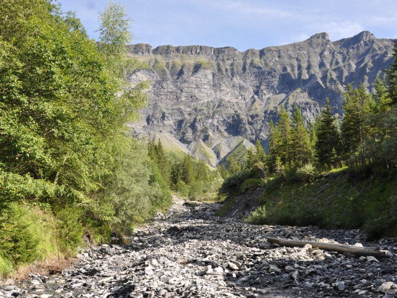 GLAPET - Plan de gestion : vue du le torrent du Glapet