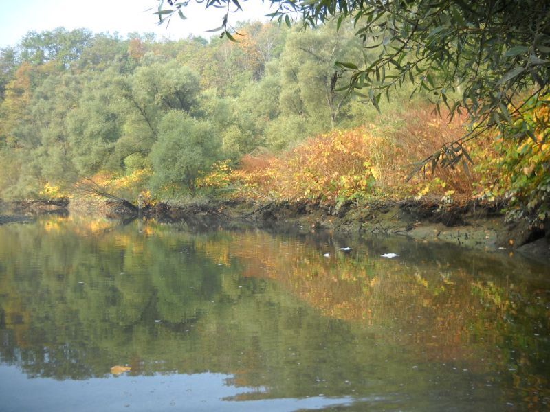 Fiches actions : Vue sur la rivière Usses