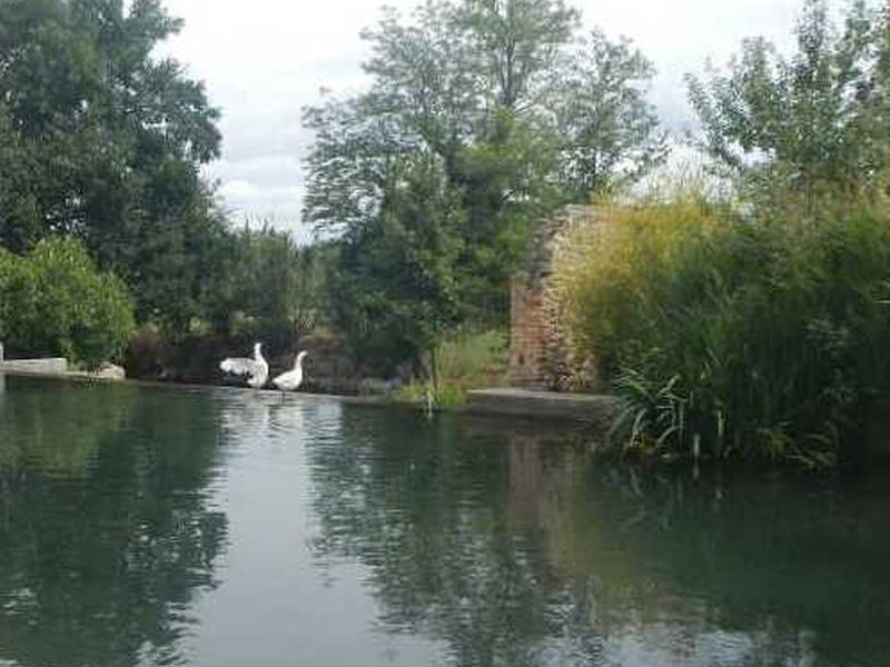 Vue sur la rivière Sorgue pour les études hydrauliques