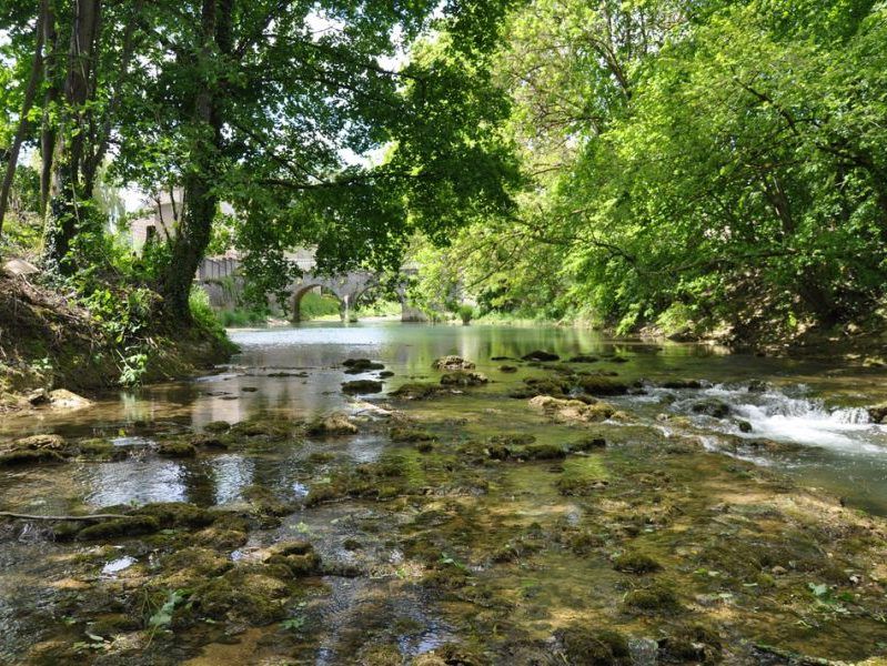 Tille Venelle : vue sur la rivière