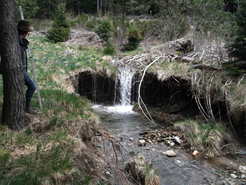 RIAILLES - Restauration : vue d'un élément de la zone humide