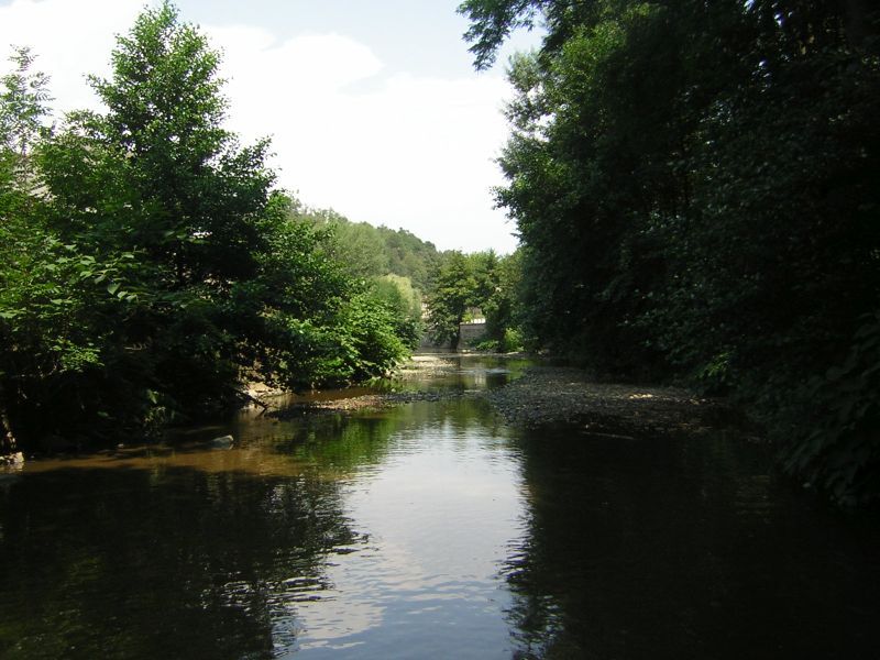 Vue sur le Brévenne