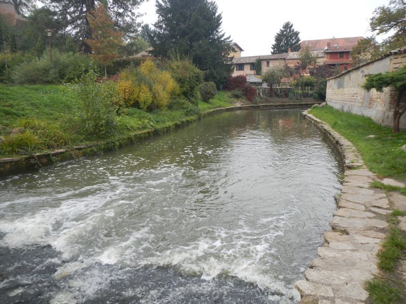 Dans le cadre de l'étude de modélisation hydraulique de la Chalaronne, photo de la Chalaronne, au droit de Chatillon-sur-Chalaronne