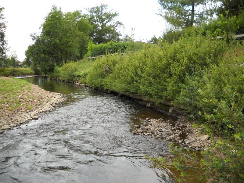 Avant-projet : Vue sur la rivière Sornin