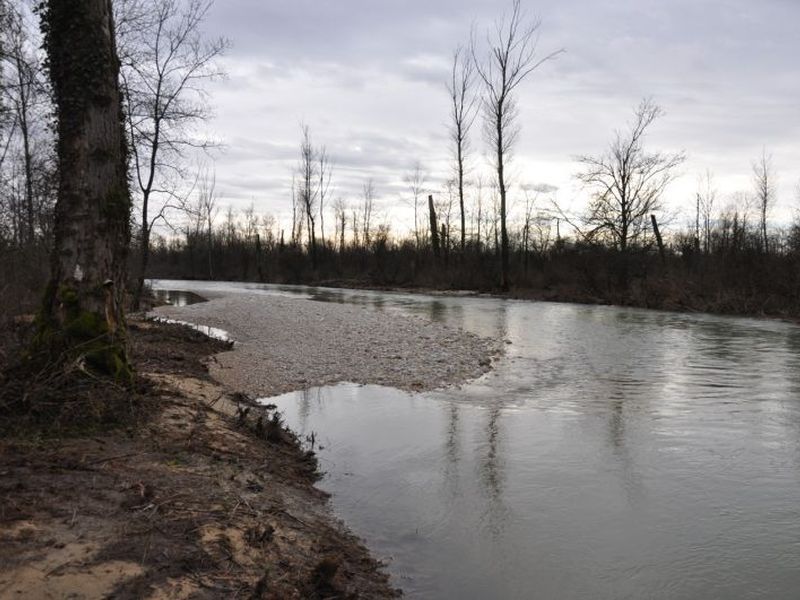 Vue sur le chenal de redynamisation de l'Ain mis en eau