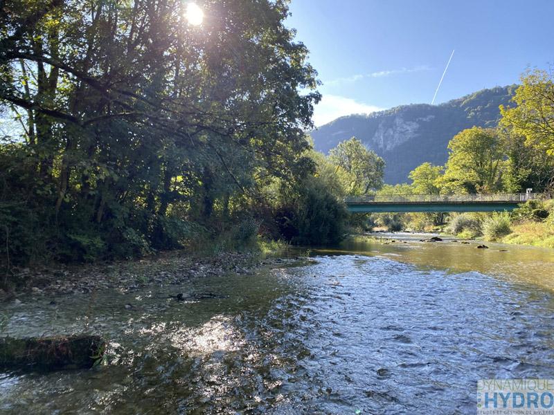 Albarine