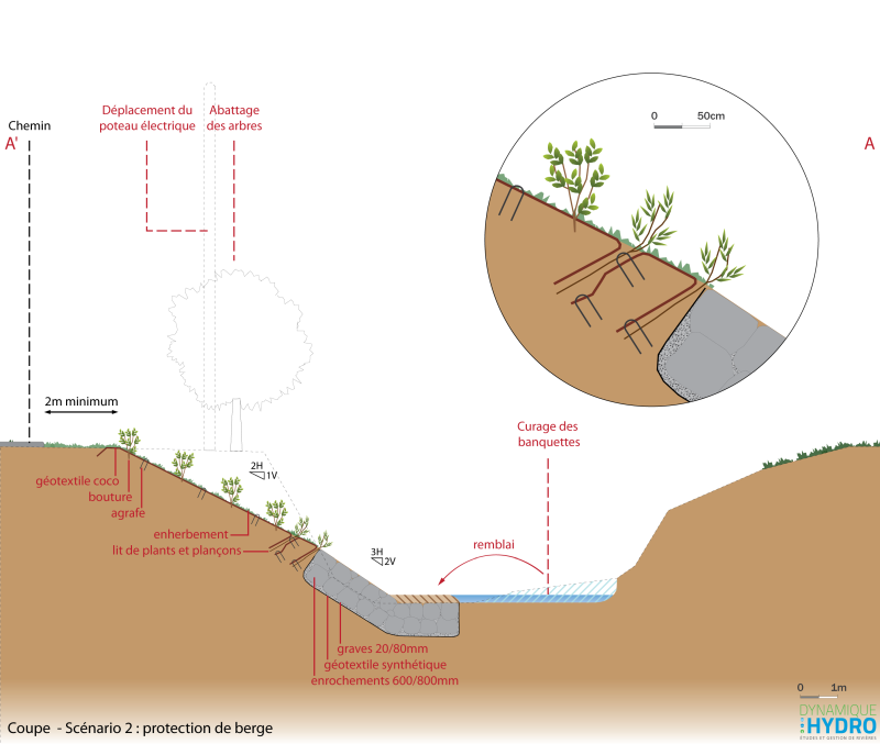 Schéma : coupe du projet (scénario 2) de restauration et de protection des berges de l'Abereau