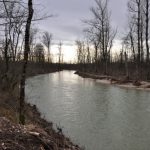 Vue sur le chenal de redynamisation de l'Ain mis en eau