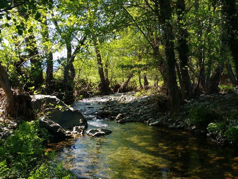 Photo de la rivière Aliso au droit du site de Rapale