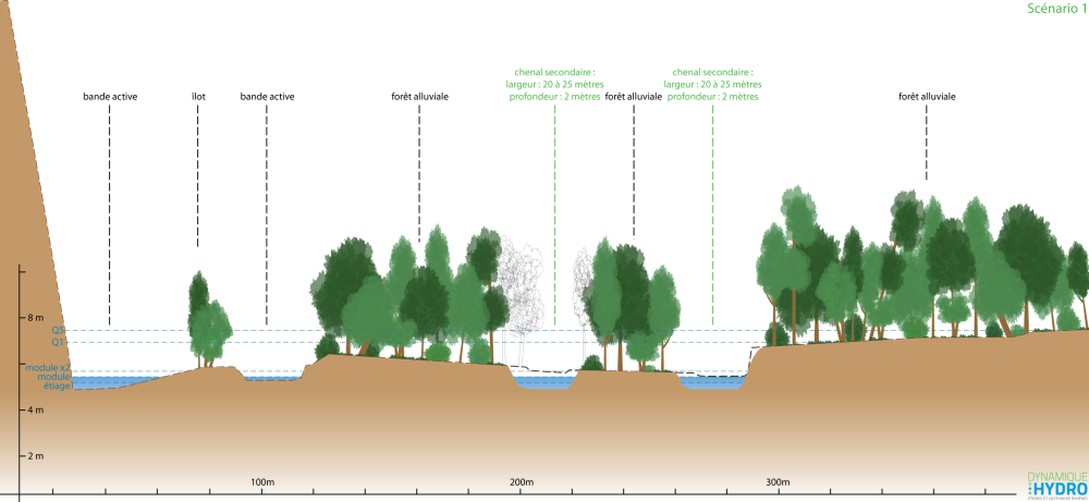 Schéma : coupe d'un des scénarios pour restauration hydromorphologique de l'Ardèche dans sa plaine alluviale en amont de Voguë