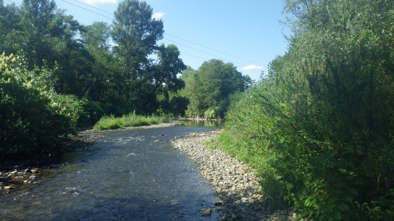 Restauration : vue du lieu de l'étude sur l'Azergues