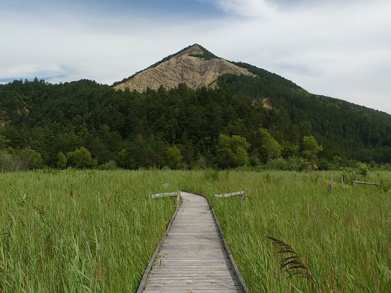 Vue sur le marais des Bouligons dans la Drôme. Un ponton s'enfonce dans des roseaux. Une montagne est en arrière plan.