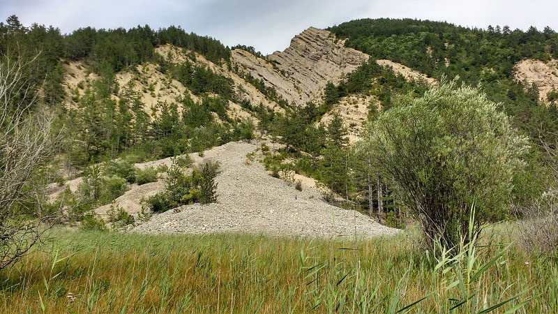 Vue sur le marais des Bouligons dans la Drôme. Roseaux, un arbre et une montagne en arrière plan.