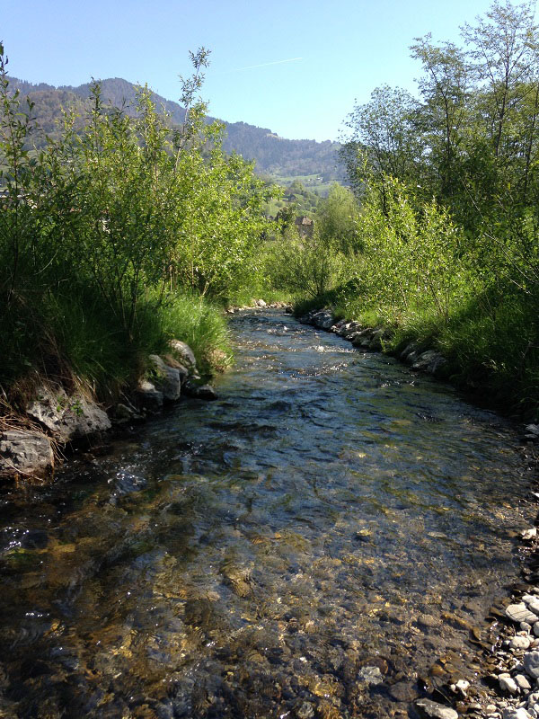 Visite post-travaux : la rivière de contournement sur la Chaise en Haute-Savoie