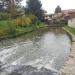 Dans le cadre de l'étude de modélisation hydraulique de la Chalaronne, photo de la Chalaronne, au droit de Chatillon-sur-Chalaronne