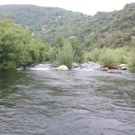 Vue de la rivière Chassezac