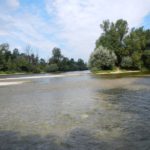 Photo de la confluence du Doubs et de la Loue prise pendant notre campagne de terrain d'expertise hydromorphologique