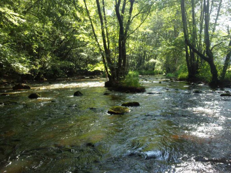 Données sédimentaires : vue de la rivière Cure à l'aval du barrage de Malassis.